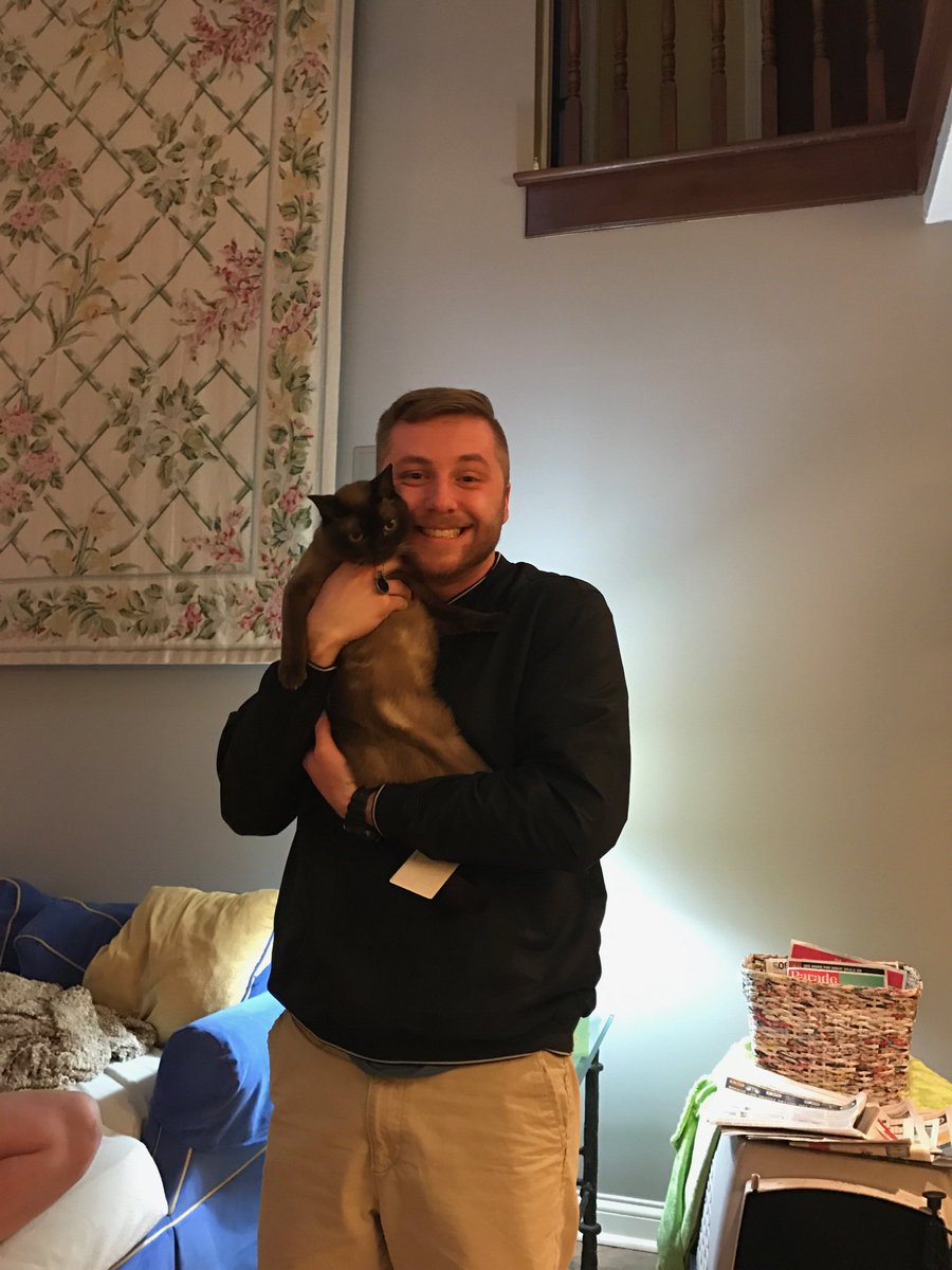 MAB_Indy's tweet photo. This is David. He used to belong to @lil_heigl. He now belongs to @T_Wornell #catperson https://t.co/RPw1F6DPkG