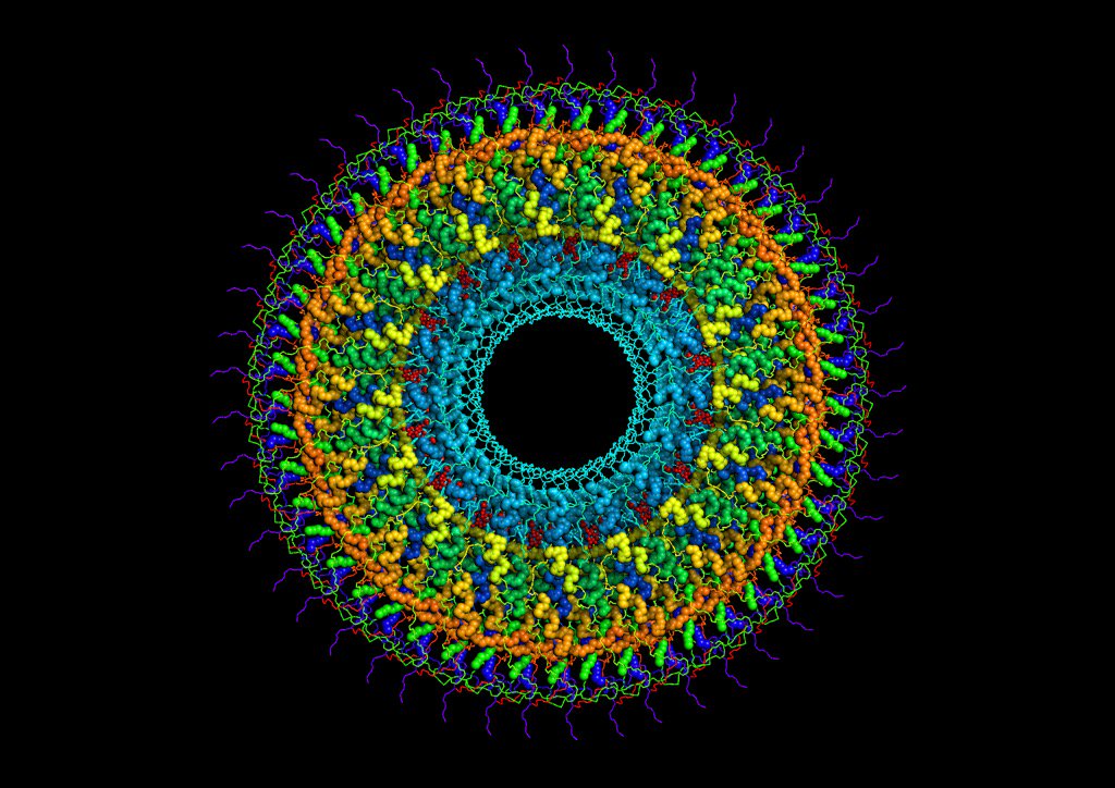 finchtalk's tweet photo. 2XEA in @MoleculeWorld - secondary structure view with rainbow coloring 4.3å cryo-em #ABRF2017 https://t.co/JHeJqa6ku4