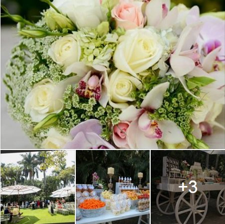 Realiza cualquier estilo de evento en Las Mañanitas
Informes 777 3620023 o al correo callcenter@lasmananitas.com.mx

goo.gl/MW3Onn