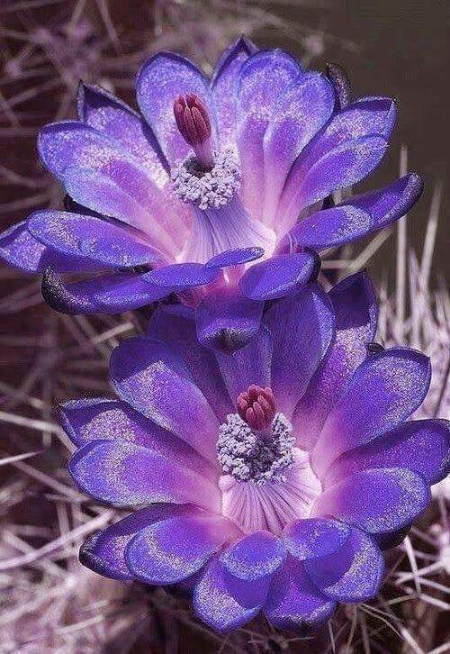 babakmirzai's tweet photo. https://t.co/O43ILwliA4