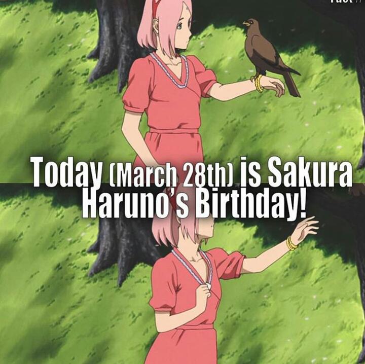 HAPPY BIRTHDAY SAKURA HARUNO    