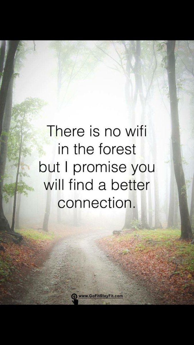 FOCG Community Group tweet media