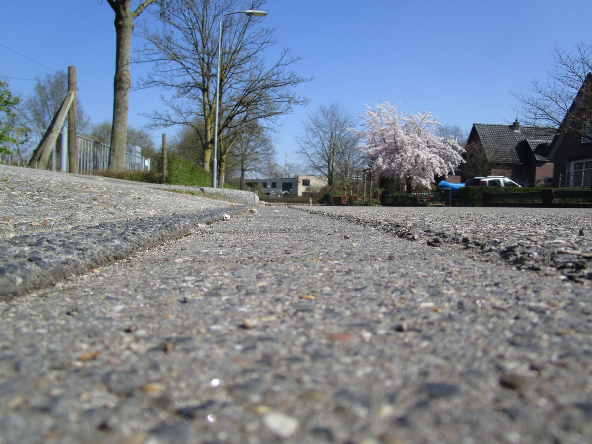 VCMPfotografie's tweet photo. Vanuit kikkerperspectief een blik werpen op de Zilverschoon. Mooi gedaan Xander! #1mh4 #fotografie @vcmheenpark https://t.co/eiebgOYg82