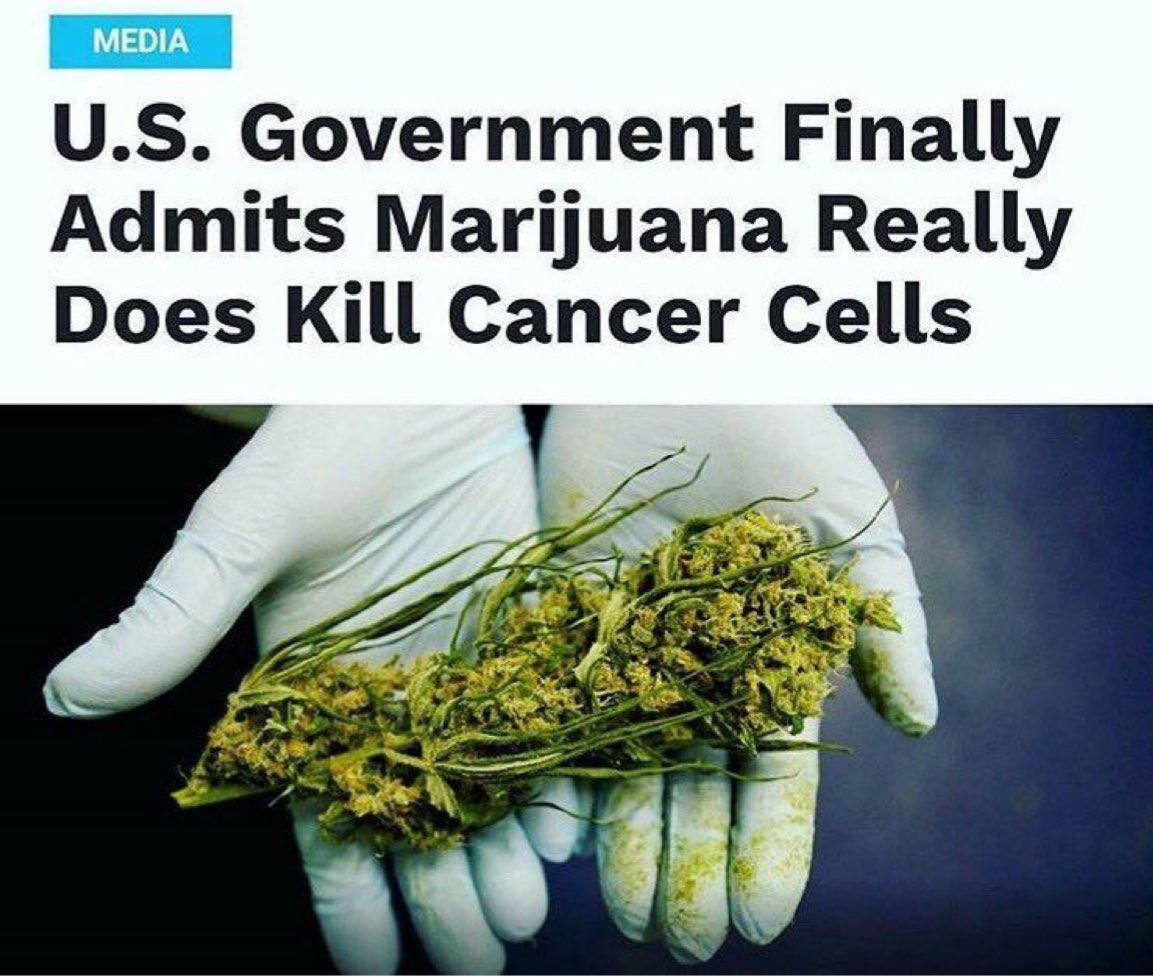 retweed_me's tweet photo. Retweed : In other news https://t.co/DCDuVMKAi0