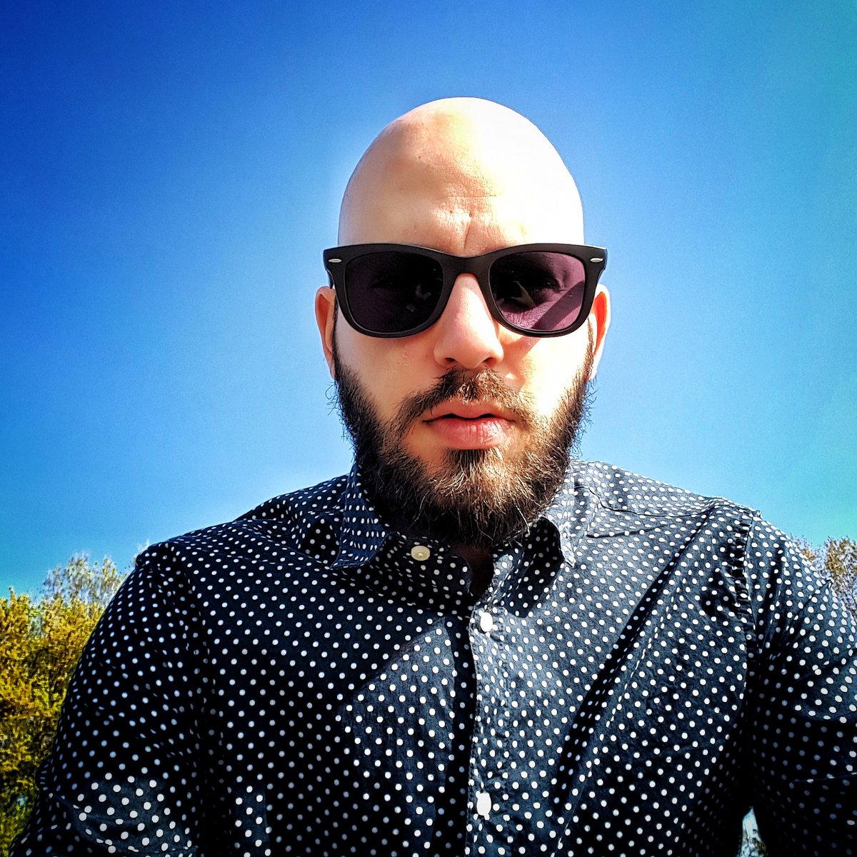 alessandro zocchi tweet media
