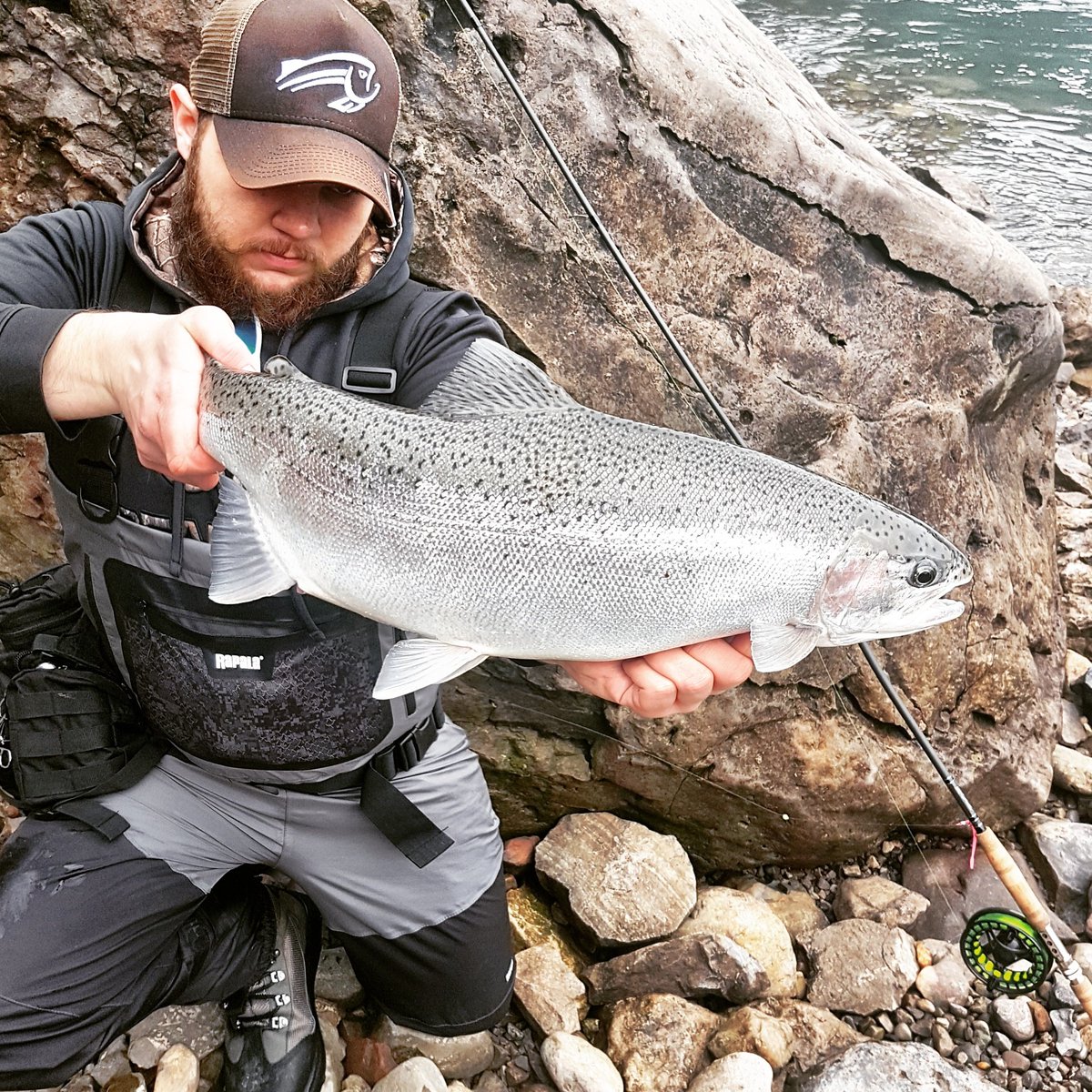Fishing In The Rain, Paid Off in Chrome 🍁 
#topsetsportfishing #steelhead #fishing #canada #floatfishing #sportfishing #chrome