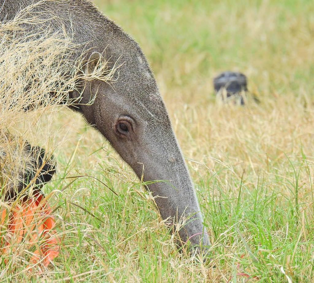 "Sometimes it's nice to spend some time on the details of what goes into a photograph. Come test drive Tamron's new lenses and see for your…