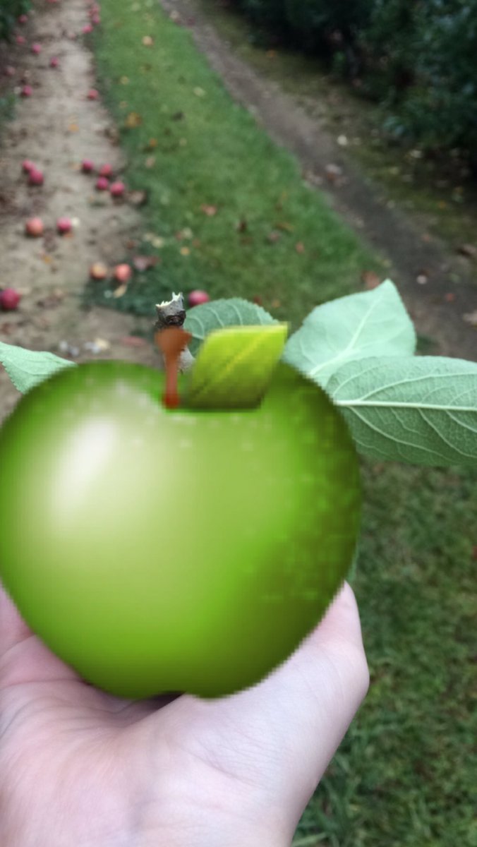 memerecycling's tweet photo. Look at all these apples😍😍 https://t.co/exOuVzfKjY