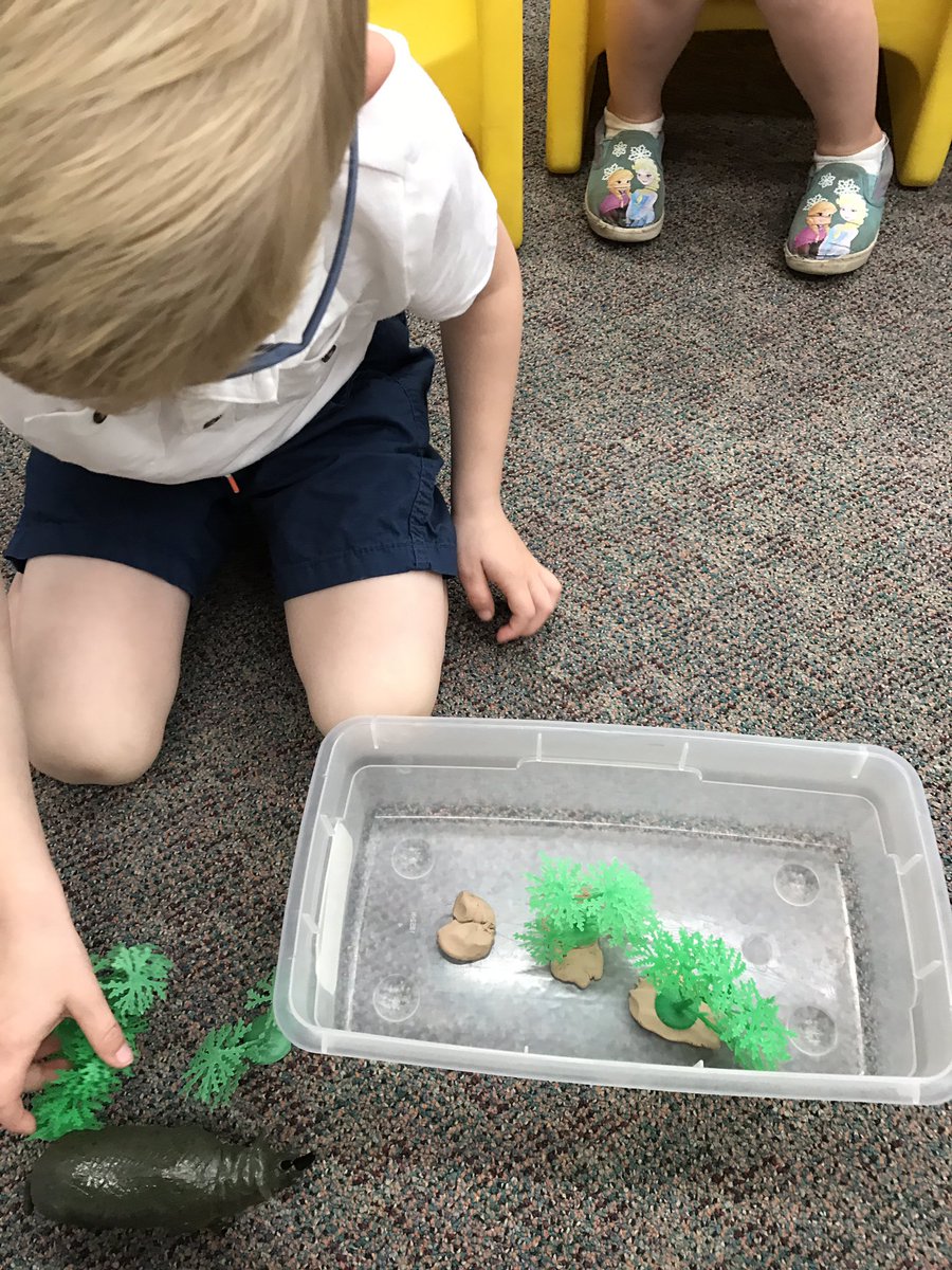 amsforjams's tweet photo. This retell prop box was fantastic for We're Going on a Lion Hunt! Thanks @prekblended #IRESPreK #vcsprek https://t.co/JCdN5EXWzh