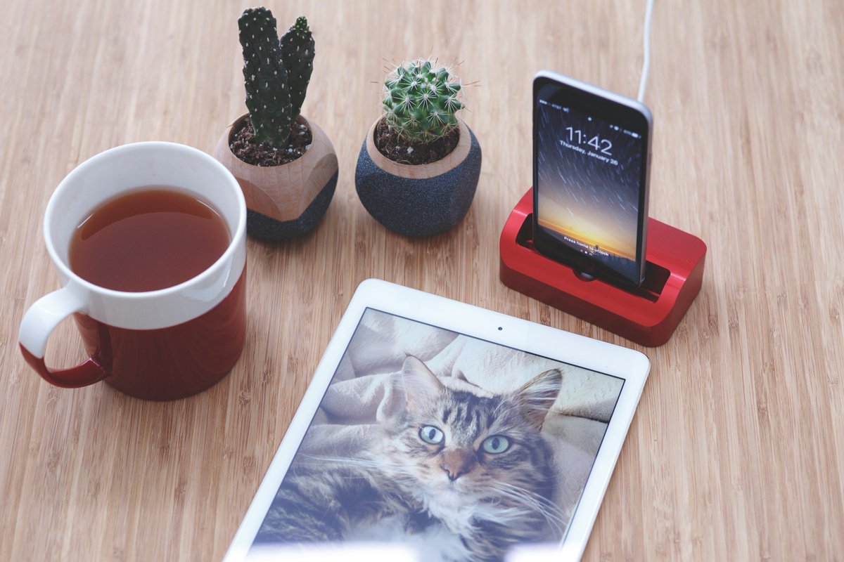 ElevationLab's tweet photo. Tuesday vibes with some bright red anodizing. #elevationlab #appleandcoffee #elevationdock https://t.co/kLLFqI1dbf