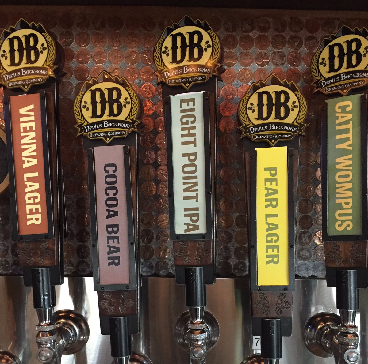 PintRoomDublin's tweet photo. Try one of these great beers from Devils Backbone!!! #cocoabear #viennalager #cattywompus #eightpointipa #pearlager https://t.co/RZ2LvnCCOz
