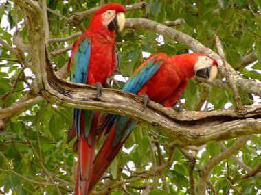 Agelita tim betabab. (@agelitasouza) on Twitter photo 