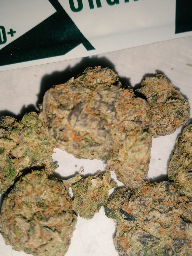 TreeologyGen's tweet photo. Girl Scout Cookies #treeologygenetics https://t.co/gqMhVefZO6