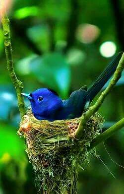 Agelita tim betabab. (@agelitasouza) on Twitter photo 