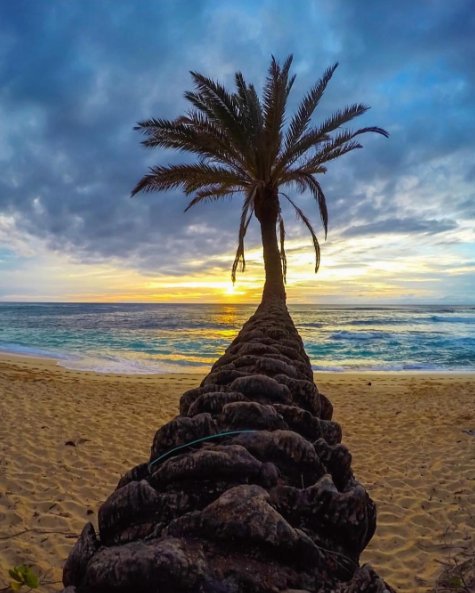 EnPaisaje's tweet photo. North Shore, Oahu 😍❤️✈️ https://t.co/rmWbFMnqnL