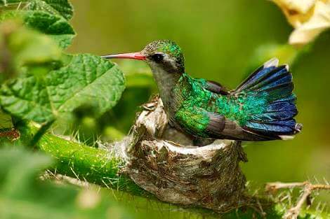 Agelita tim betabab. (@agelitasouza) on Twitter photo 