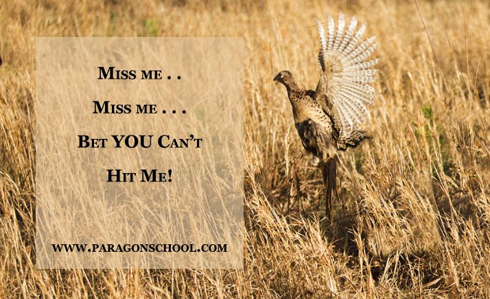 paragonschool's tweet photo. Improve your Wingshooting in MINUTES! Book Your lesson NOW. https://t.co/byX8ewPXso