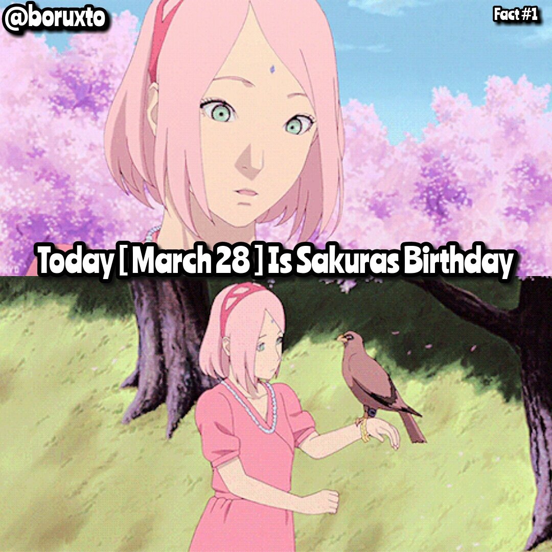 Fact happy birthday Sakura Haruno 