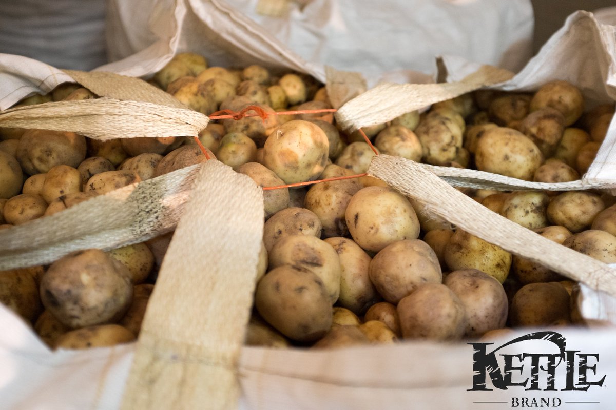 GreatFoodDrive's tweet photo. Thank you to @kettlebrand for donating nearly 30,000 lbs. of potatoes to the KGW #GreatFoodDrive yesterday!  https://t.co/Zao5jUptK1 https://t.co/dSqys06zXr