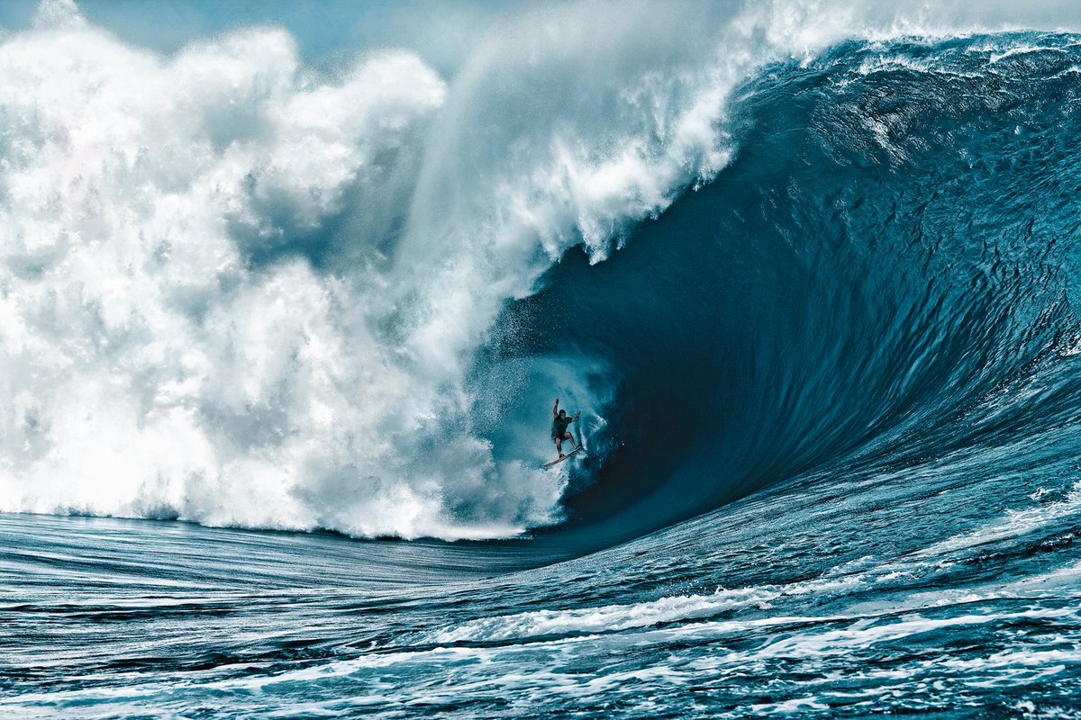 World Surf tweet media