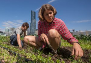 danslamosaique's tweet photo. Agriculture urbaine à Toronto
Joe NASR de @CSFSRyerson  @CarrotCity https://t.co/Ce0M1Yvvu1 https://t.co/5Puyt4fsY2