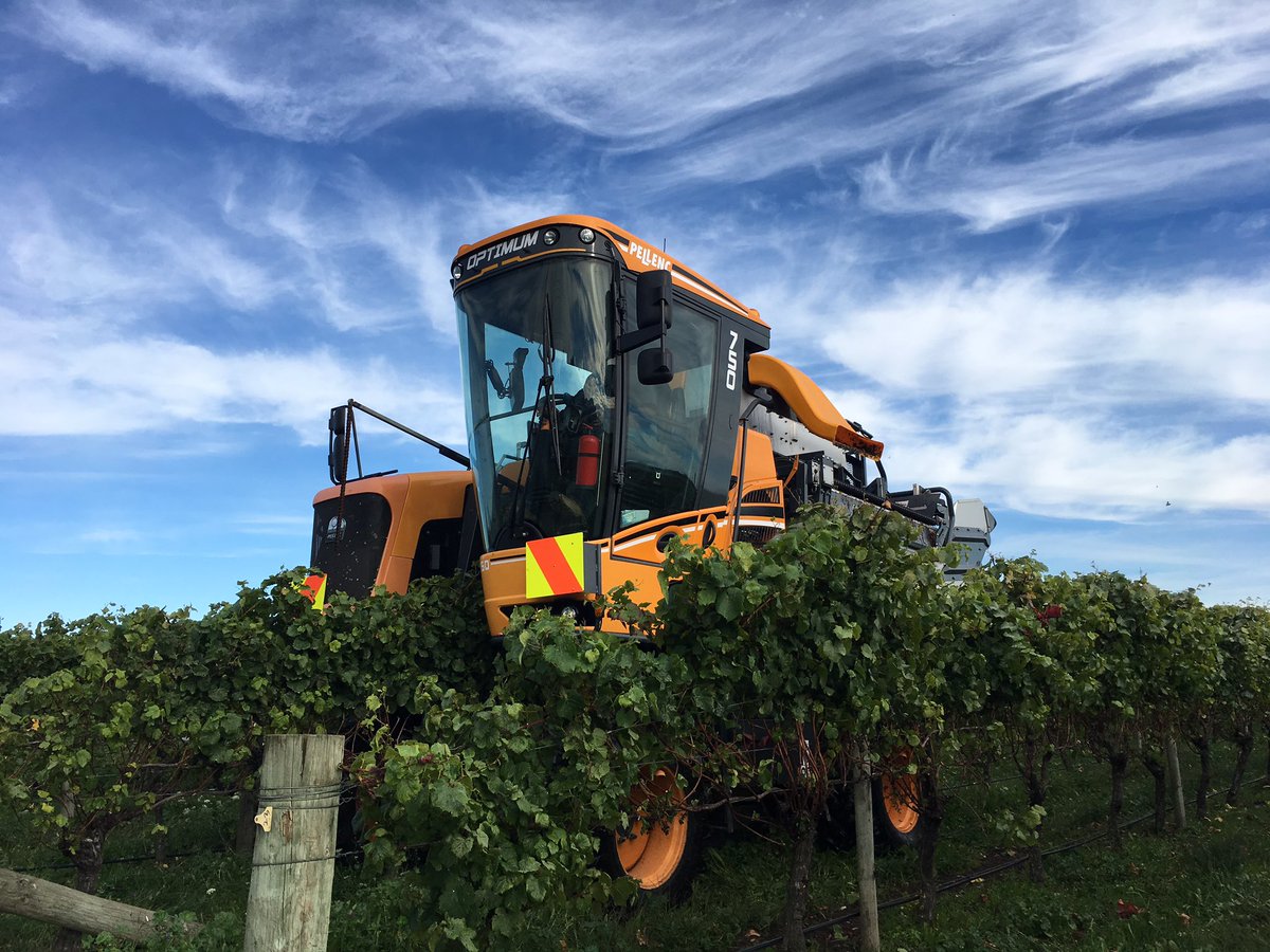 5am kick off for 2017 harvest this morning! We were treated to this stunning windswept looking sky #nelsonshines