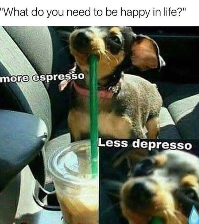ChrisFisher75's tweet photo. #lessdepresso #lifegoals @kelly_sargison @luke_wevers @TristanCarter44 @MegWilson2015 https://t.co/FOeIgfG5UN