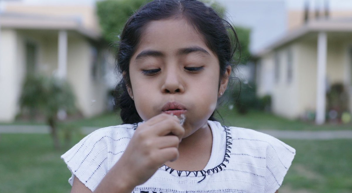 Tribeca's tweet photo. There has never been a better time to watch @PaolaMendoza's Tribeca doc FREE LIKE THE BIRDS. See it on April 3rd: https://t.co/Xbhn2KYjE3 https://t.co/ysi5qcEQWO