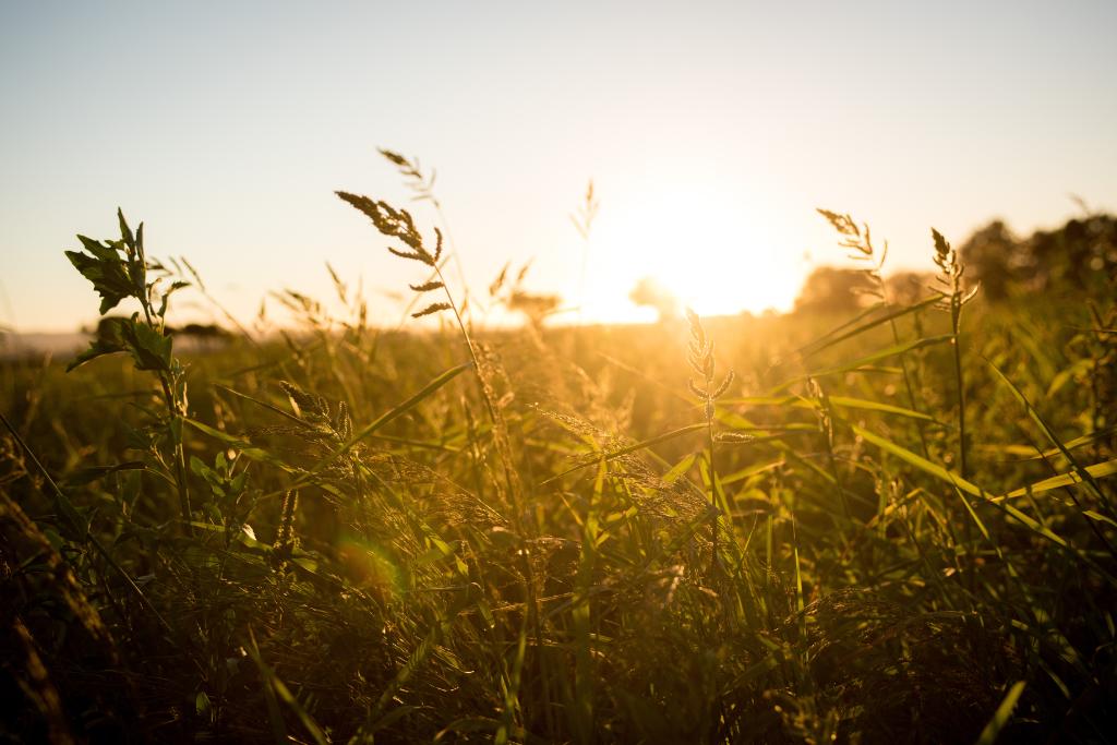 ClifBar's tweet photo. Climate change is a threat to the farming systems we depend on #ActOnClimate https://t.co/lekRK6aNoN