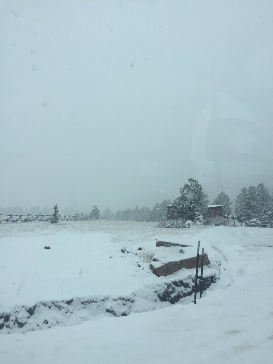 FartCollins's tweet photo. There was snow way we could go to our work side today, so we were #gumby and went with plan B https://t.co/6ndxlnNa62