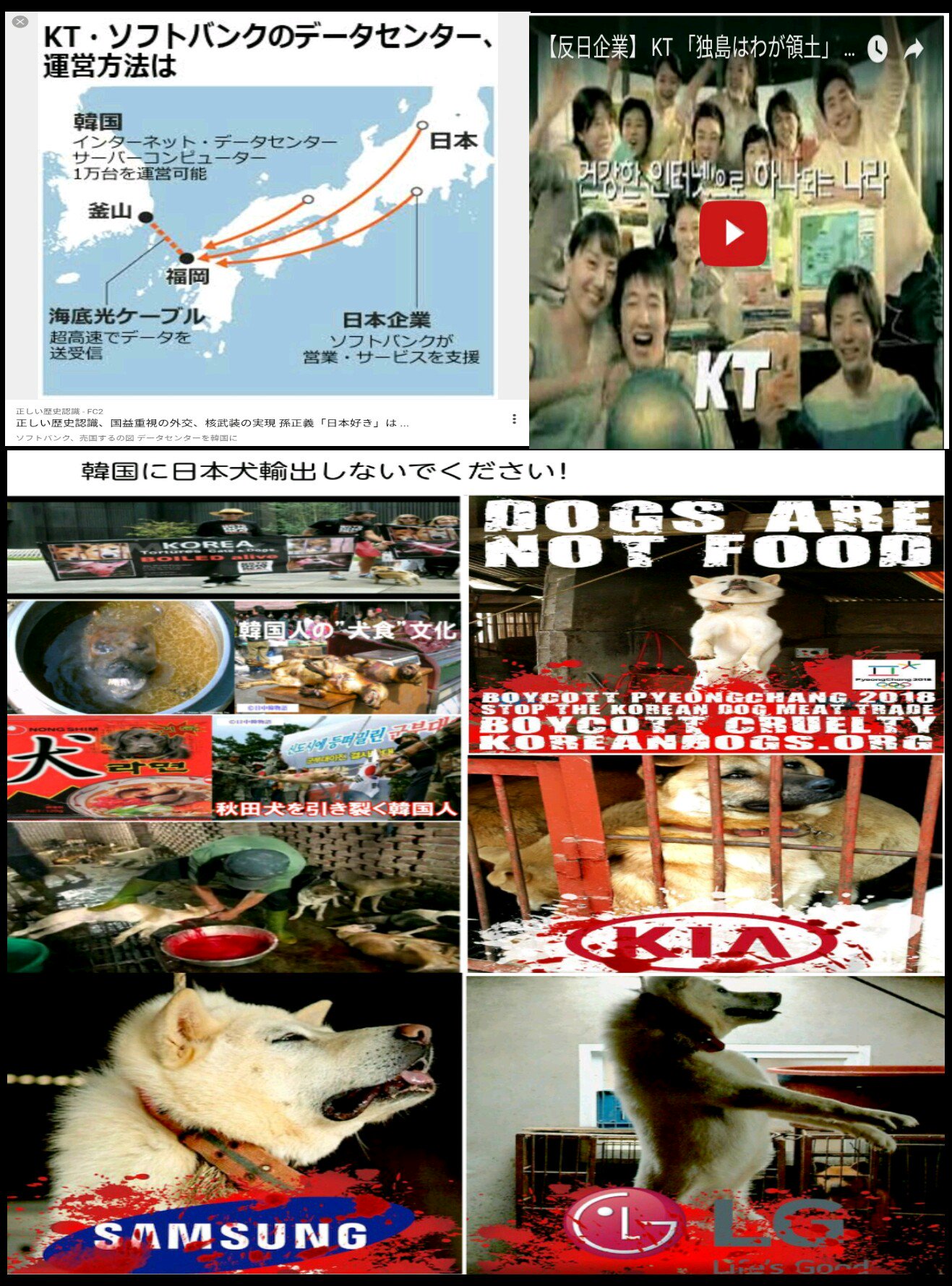 O Xrhsths Kozi Sto Twitter 苦しめて殺され煮て焼いて食われる秋田犬 こんな国に税金補助金だして修学旅行に行く秋田 県 行った韓国で犬肉食われてだろう イカレテルだろ 秋田犬 秋田 韓国修学旅行 O Xrhsths Kozi Sto Twitter 苦しめて殺され煮て焼いて食われる秋田犬 こんな国に税金補助金だして修学旅行に行く秋田 県 行った韓国で犬肉食われてだろう イカレテルだろ 秋田犬 秋田 韓国修学旅行