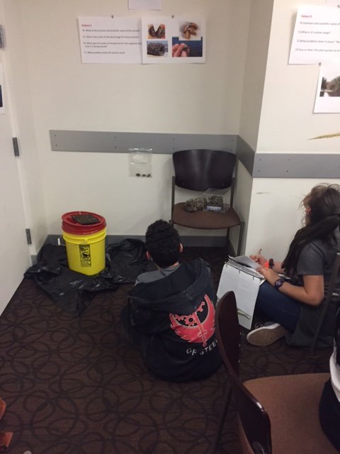 CAPArizona's tweet photo. CAP Board Member @KarenCesare led a competition on #invasivespecies, including #quaggas #AZScienceOlympiad #middleschool #science #CAP https://t.co/Ay1lBZ5OtT