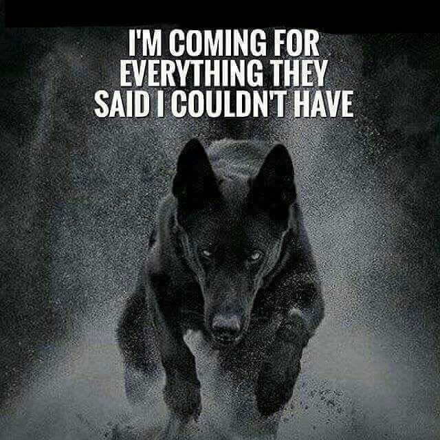 Pastor JT (@pastorjt3) on Twitter photo 