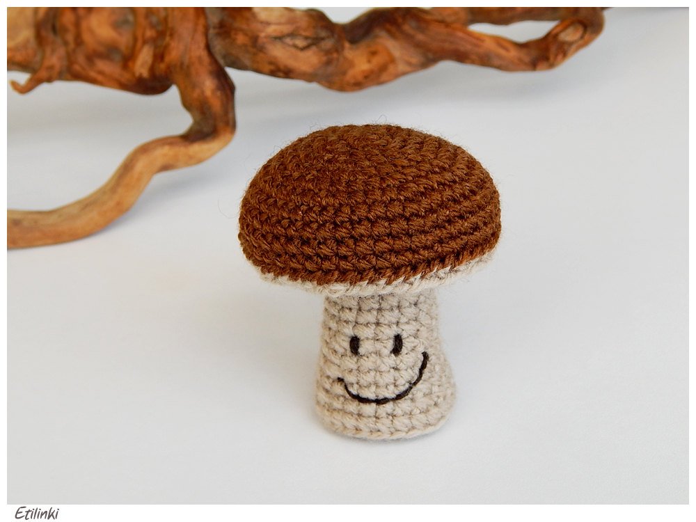 Etilina2's tweet photo. Beautiful crochet mushroom by @Etilinki.
https://t.co/bZTzw49Va8
 #craftshout #etsymntt #etsyretwt #etsy #shopsmall #onlineshopping #gifts https://t.co/kIqD44sAZP