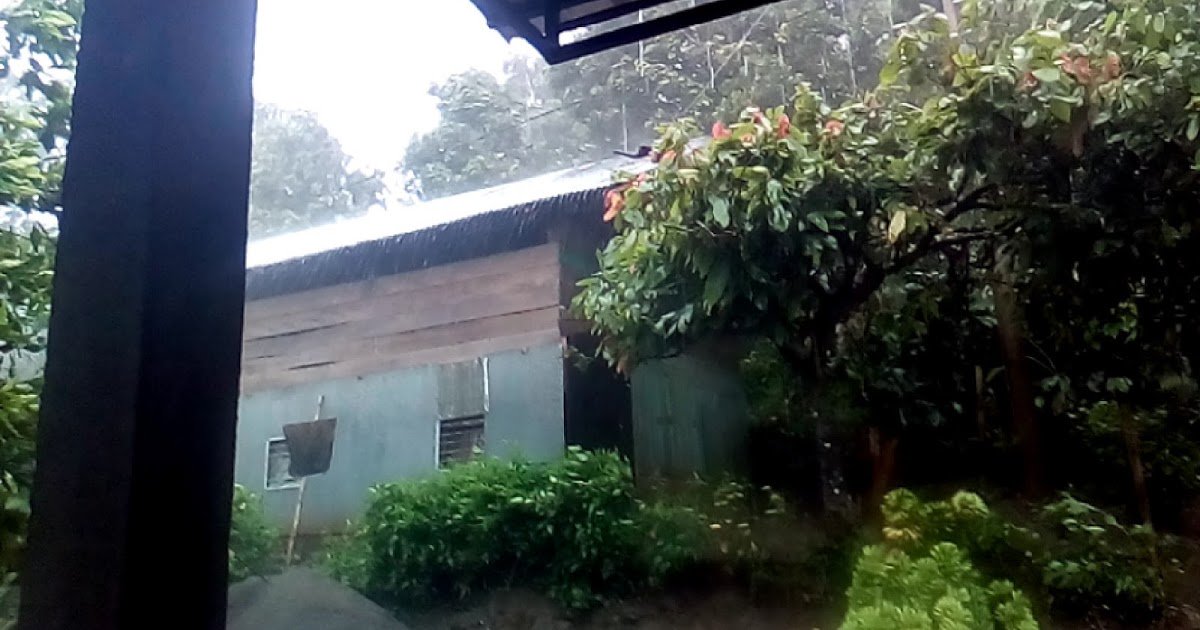 dakput's tweet image. Angin kencang di sertai hujan deras dlvr.it/NlRjzv