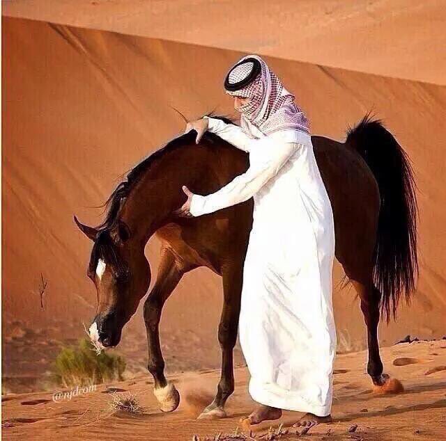 لا تجبر النّاس بالدنيا على قربك
يبقى لعمرك ثمن مهما  تساهلته
البعض تهتم له بس هو ما يحبك
والبعض يبدى يحبك لا تجاهلته