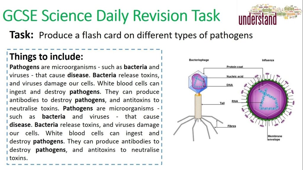 David Chalk tweet media