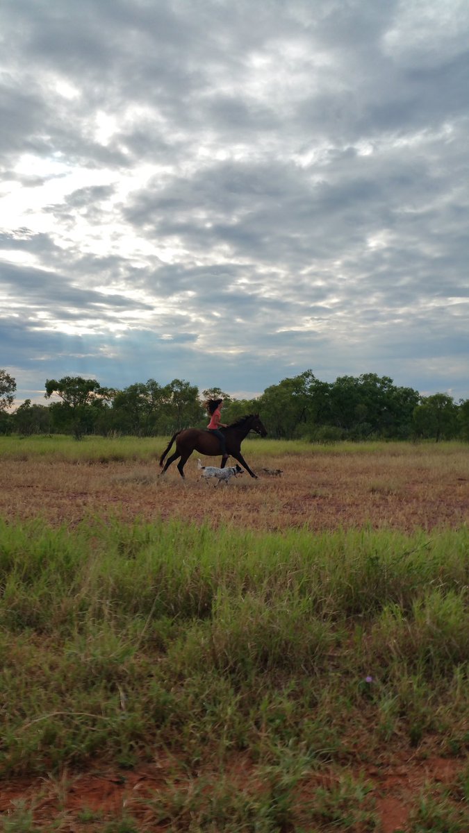 Letty Cook tweet media