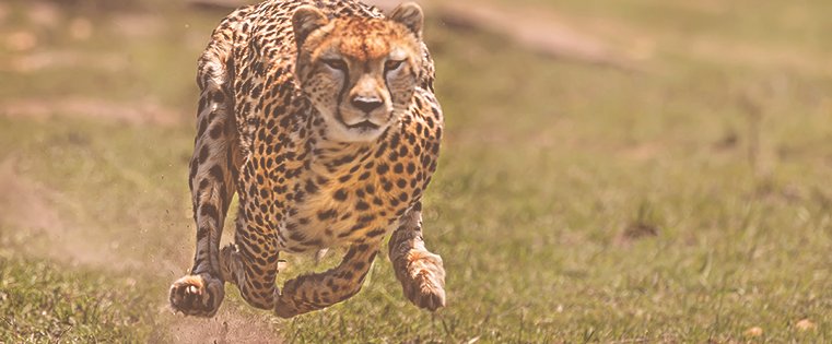 learn about the benefits of optimizing page load time: bit.ly/2ow8r73