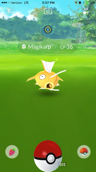 Assdffgghhjjkkgggggg SHINYYYY!!! #PokemonGO https://t.co/8wLix6zVZ9<a href="/tag/pokemongo"class="tags">#PokemonGO</a>