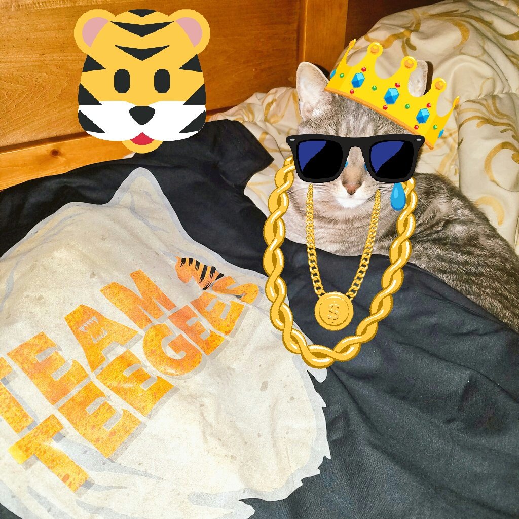 Frostysorigin's tweet photo. @BigCatDerek my CARE tee and my Teegees tee!! Frostbite the house tiger approves FROSTBITE says OMG!! YOU ARE MY HERO DEREK!!#TEAMTEEGEES https://t.co/I71HCoxlQv