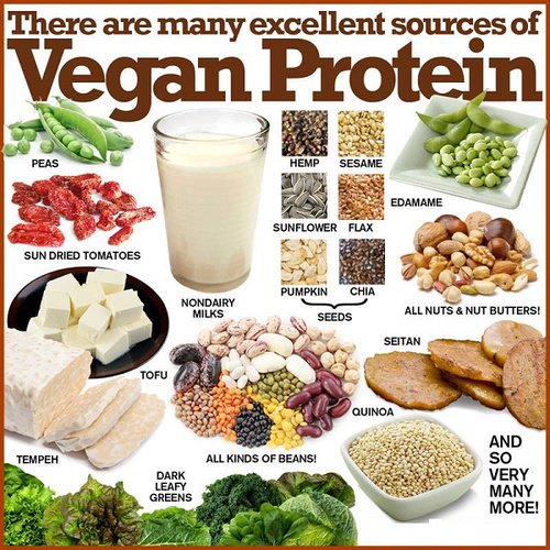 VeganAddicted's tweet image. Good protein sources for vegans