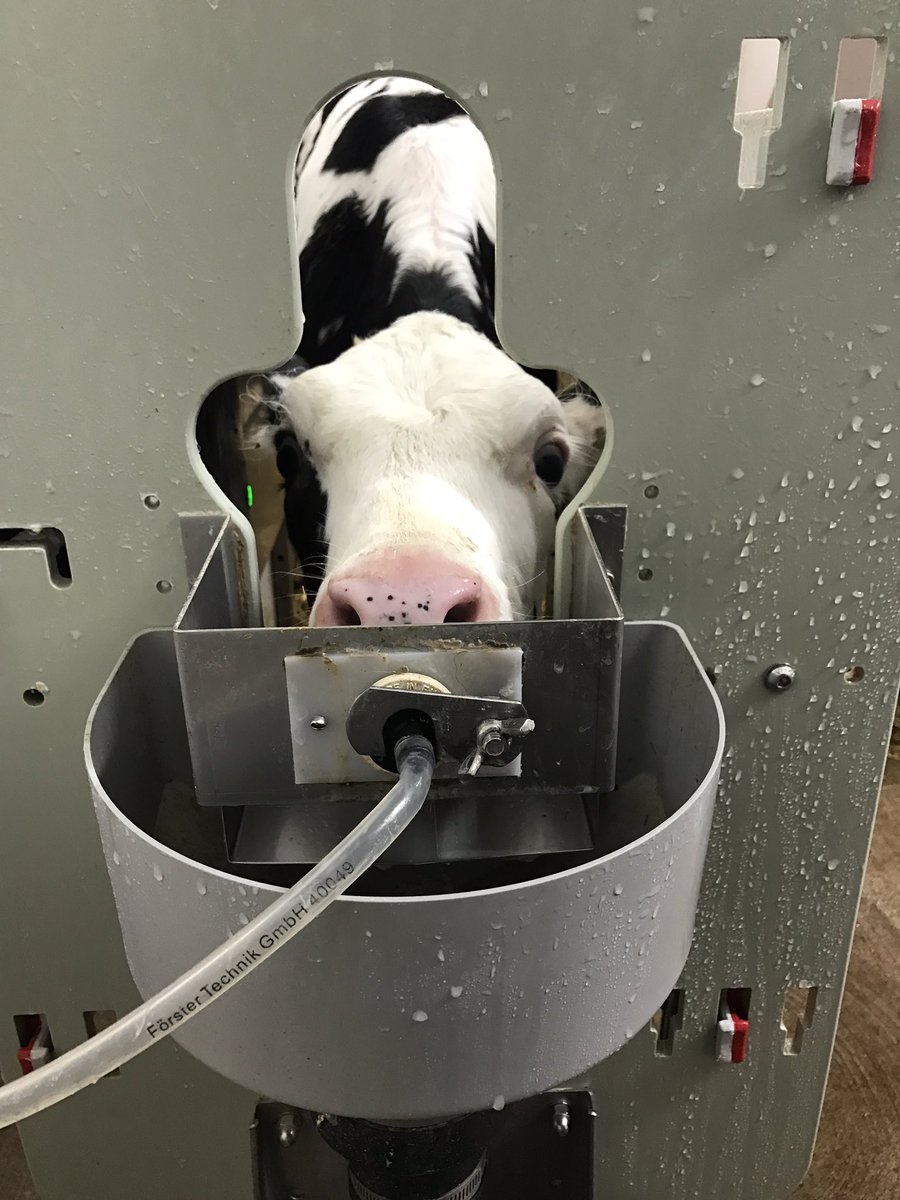 Peek-a-boo! #agproud #farm365 #ontag