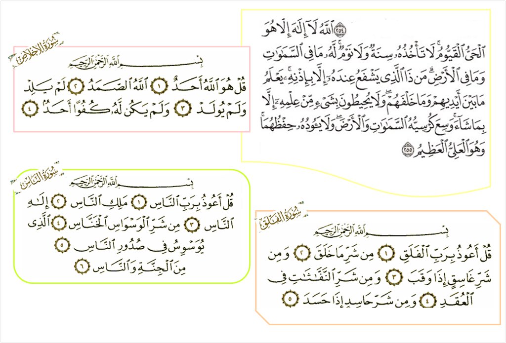 عِز tweet media