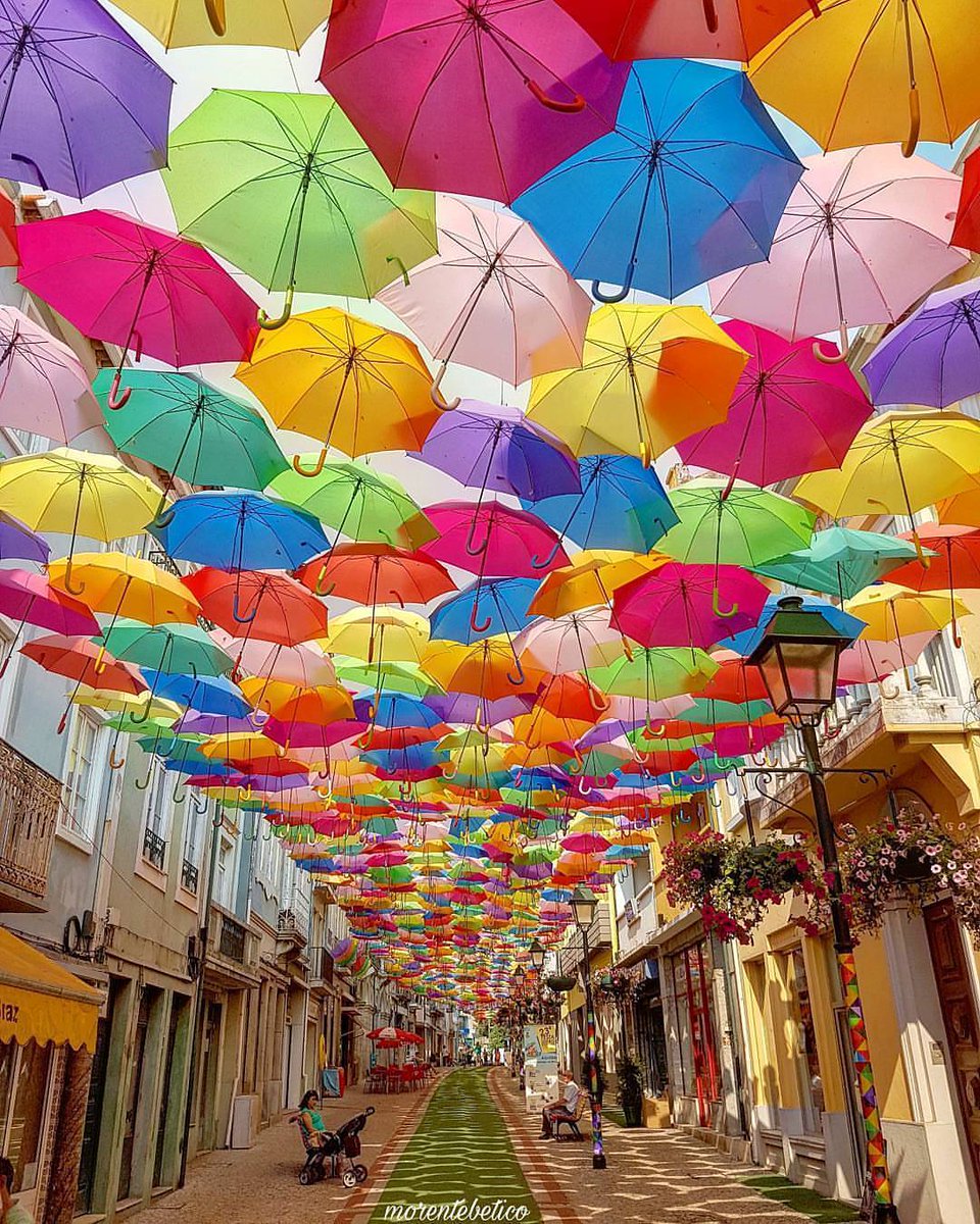 Paisajes on Twitter: "Calle de paraguas, Aveiro, Portugal. / Twitter