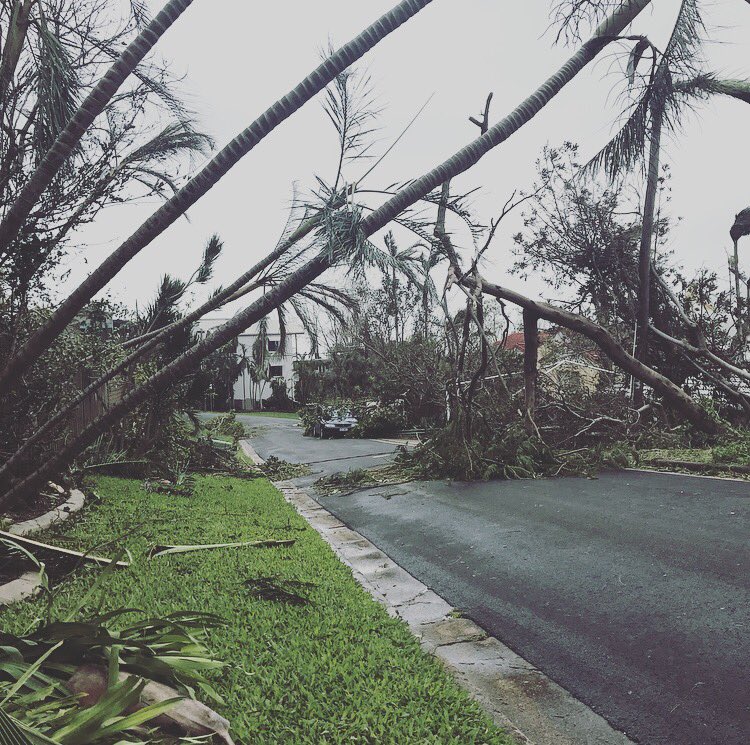 AngieAsimus's tweet photo. Widespread damage in the tourist town of Airlie Beach #TCDebbie #TropicalCycloneDebbie #7news #WhitsundayIslands https://t.co/RGouVvtw0v