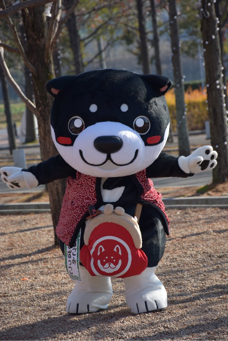 ベルゼルガ やつはしの神様 On Twitter チュッピー 所属 岡山県