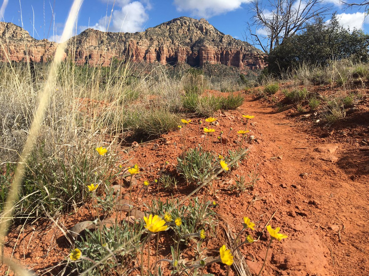 Spring in Sedona. Come and see it! #Sedona