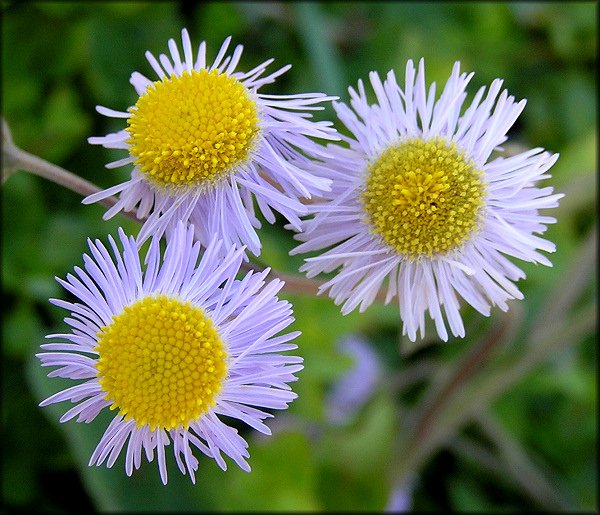 使わないよ N K K Love 08 Twitter