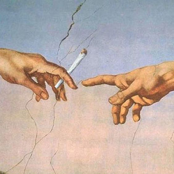 _Truffle_Report's tweet photo. Pass joints not rumors https://t.co/wdv60AVgDh